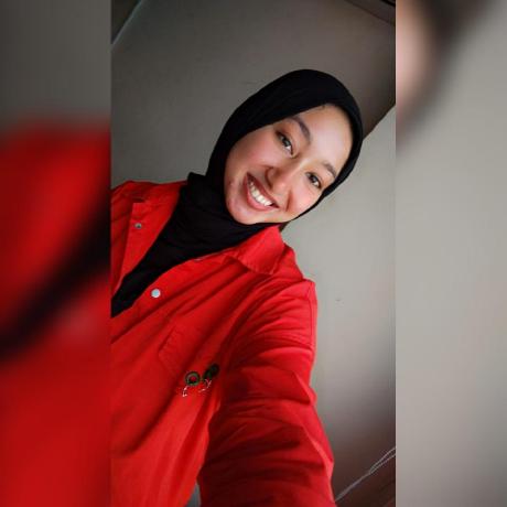 Dmr1991 Dina Github - Premium Colorful Picture - Mobile