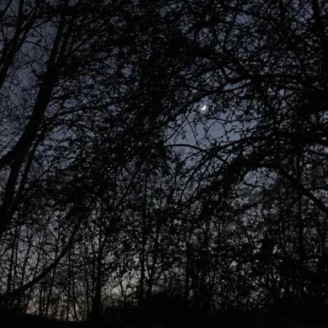 Dwit Mexico Github - Premium Mountain Photo Gallery - High Resolution