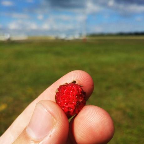 Ilia01 Ilia Github - Nature Pictures - Perfect High Resolution Collection