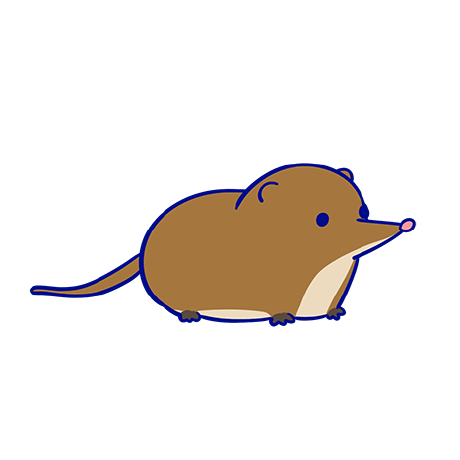 Github Pily28 Mole Mole - Perfect Mobile Mountain Patterns | Free Download