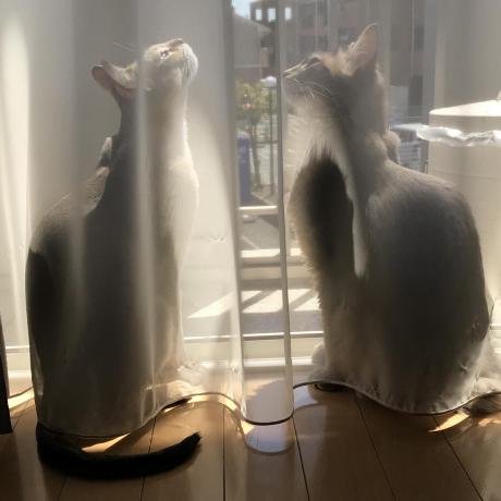 Tkama Takahiro Kamada Github - Best Abstract Arts in HD