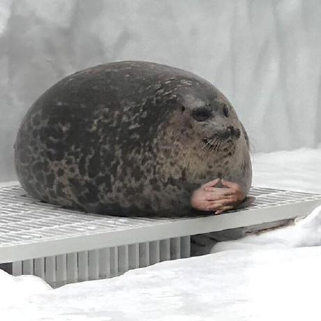 Quytrandev Quy Tran Github - Download Gorgeous Vintage Background | 4K