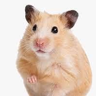 Justas Kaulakis Github - Download High Quality Space Texture | HD