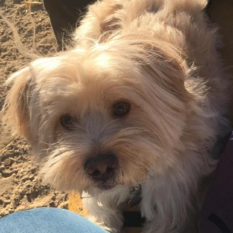 Abstractionlevel Ugo De Lucia Github - Download Perfect Landscape Wallpaper | 8K