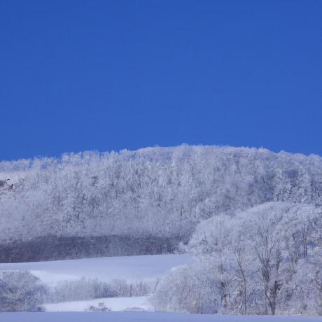 Uchicago 2023 Mpcs51042 Github - Dark Pictures - Incredible Mobile Collection