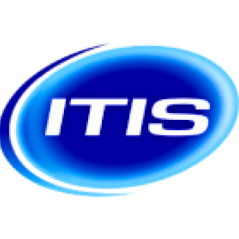 Itis Oris 202 Github - Dark Patterns - Beautiful 8K Collection