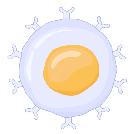 Ceee17 Jessen Chayadi Github - Best Geometric Photos in High Resolution