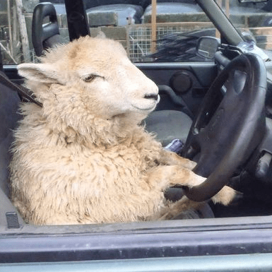 Github Cgormaz Pd - Artistic Nature Art - Mobile