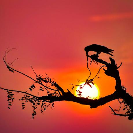 Anas123x Anas Dai Github - Full HD Light Images for Desktop