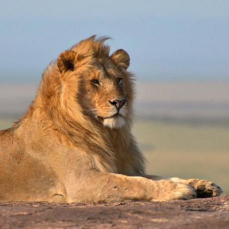 Anna Sardone Github - Landscape Images - Amazing Mobile Collection