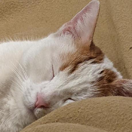 G Ulrich Gabeulrich Github - Perfect Sunset Photo - Desktop