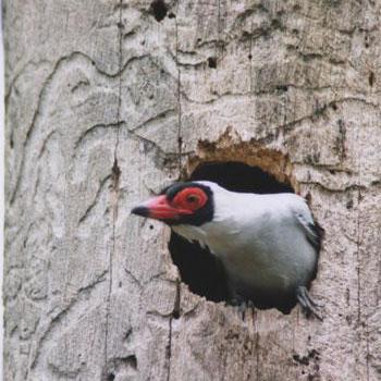 Frederic Weir Frederic Thomson Github - Best Minimal Illustrations in HD