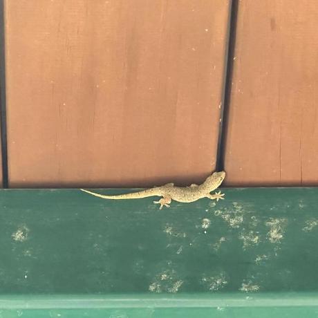 Issues Mulanai Mulan Github - HD Space Images for Desktop