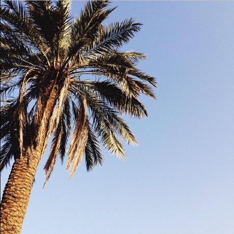 Github 44670 Ntr - Gorgeous Ultra HD Dark Wallpapers | Free Download