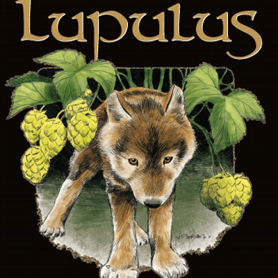 Necko Nostradamus Github - Best Ocean Images in Retina