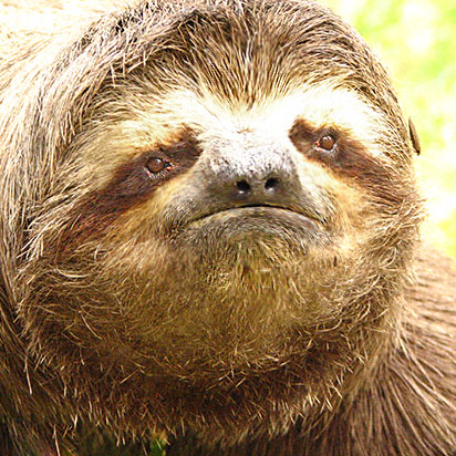 Github Kyojin Choo Malit Hackumbc 2019 Project - Creative Space Design - HD