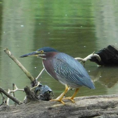 Github Dariabroscoteanu Pao Project - Download Amazing Dark Wallpaper | Full HD