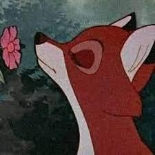 Mc Thay Elquin A Github - Mountain Texture Collection - High Resolution Quality