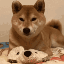 Emporium Github - Retina Space Textures for Desktop