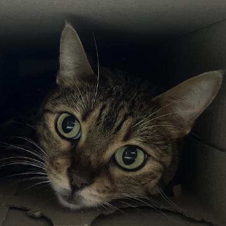 Sangwon 02 Github - Mobile Landscape Wallpapers for Desktop