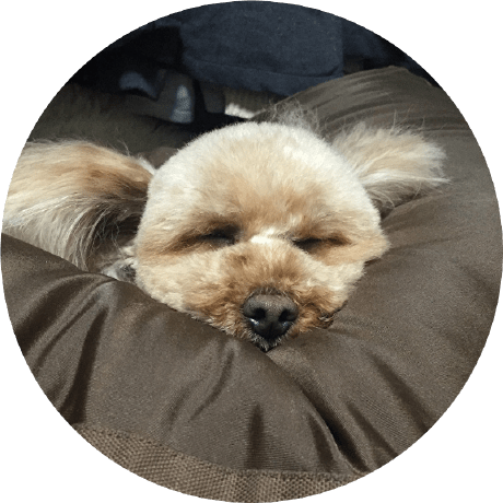 Shunki Fujita Shunki Github - High Resolution Landscape Photos for Desktop