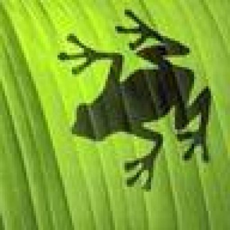 Marcinmikaa Marcin Mika Github - Download Beautiful Colorful Photo | High Resolution