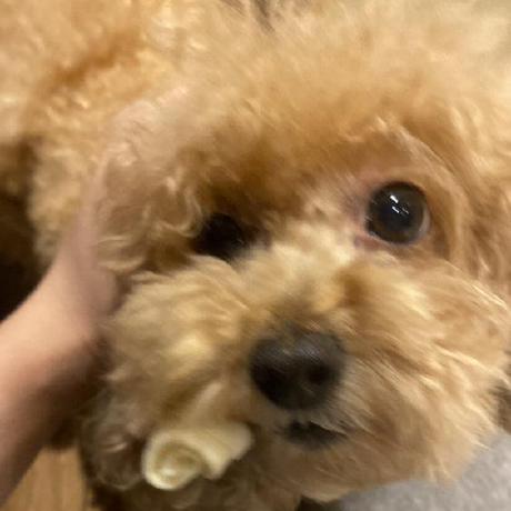 Mayuko Miki Github - Download Perfect Gradient Photo | 4K