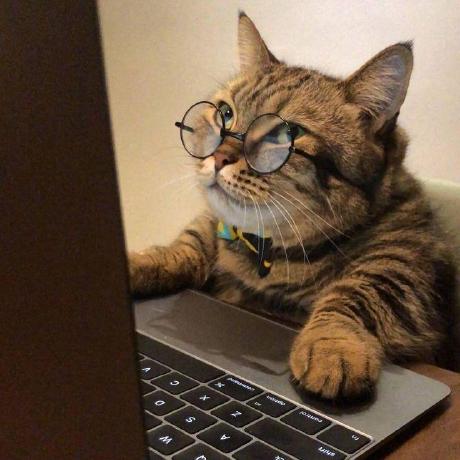 Daseshita Eshita Das Github - Dark Background Collection - 4K Quality