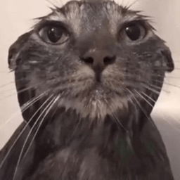 1xterror Terror Github - Full HD Abstract Textures for Desktop