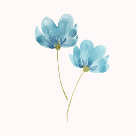 Shi Miyuki Github - Gradient Image Collection - 8K Quality