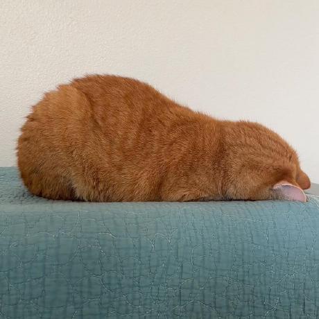 Github Cinnamondys Perancangan Pemrogramanberbasisobjek Object - Best Colorful Wallpapers in High Resolution