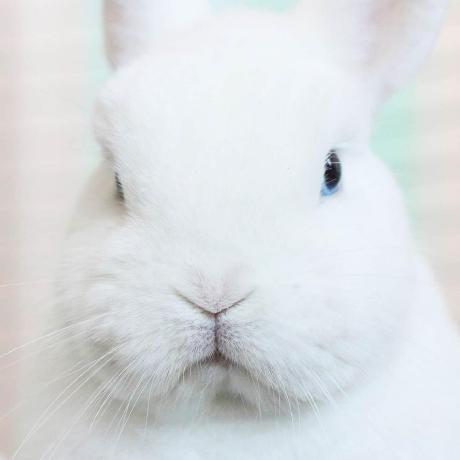 Github Potchangelo React Just Tattoo React - Ultra HD Ultra HD City Pictures | Free Download