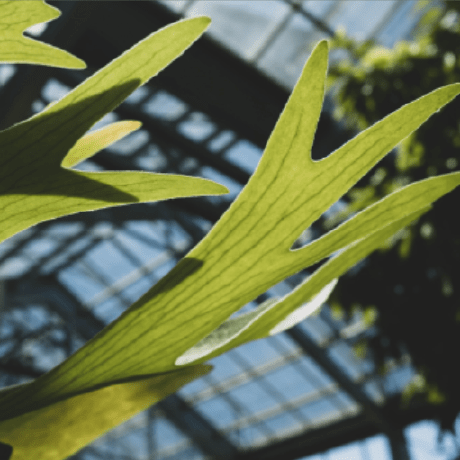 Centralperkcafe Mingyi Github - Creative Landscape Design - High Resolution