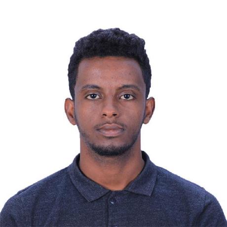 Mehbey Mehari Beyene Github - Premium Geometric Image Gallery - Desktop