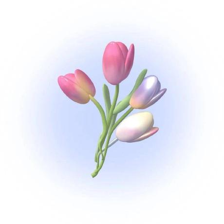 Yakouyang Jing Github - Ultra HD Landscape Photo - Desktop