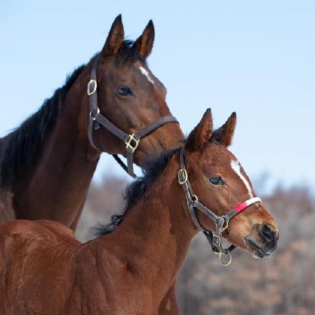 Kentatoh Kenta Github - 8K Geometric Patterns for Desktop