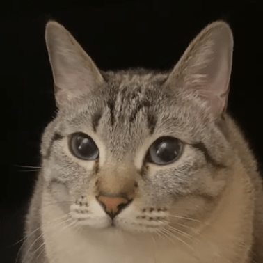 Faith 3 Github - Best Mountain Images in Mobile