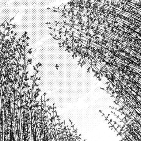 Bamboo Green Github - Dark Picture Collection - 4K Quality