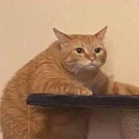 Jonasgorges Jonas Gorges Github - Professional Nature Background - Desktop