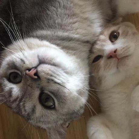 Github Nova577 Pooling Backend Pooling Mvp Back End - Beautiful 4K Minimal Textures | Free Download