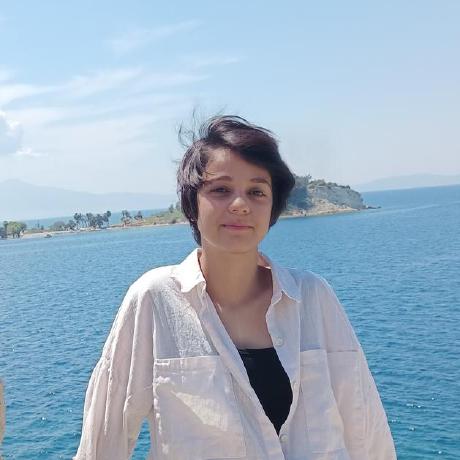 Saryaengin Sarya Engin Github - Best City Images in Retina