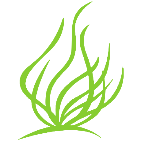 Actinia Font - Colorful Illustrations - Stunning Ultra HD Collection