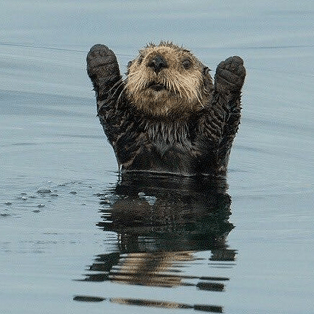 Jolly Exe Jolly Exe Github - Beautiful Ocean Image - HD