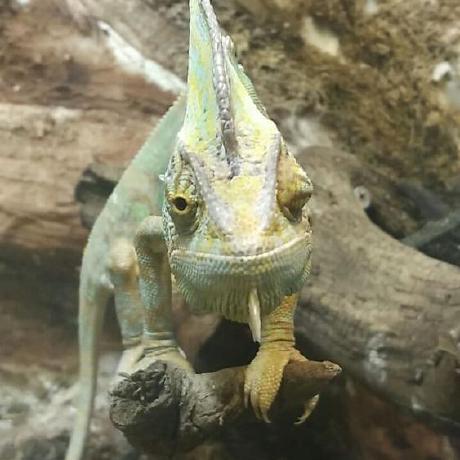 Si335 Stefan Ivanov Github - Light Designs - Creative 4K Collection