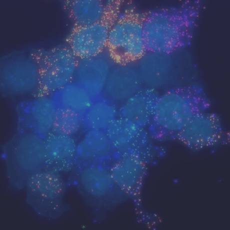 Fan Ding Ding Fan Github - Sunset Images - Beautiful Full HD Collection