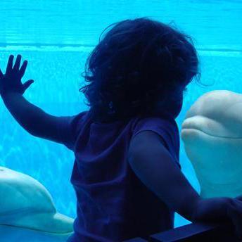 Lauraferrini Laura Ferrini Github - Download Classic Dark Art | Full HD