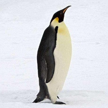 Robert He Github - High Quality High Resolution City Designs | Free Download