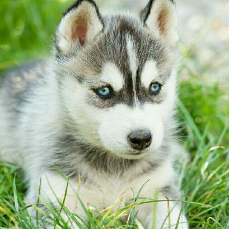 Shihao Cmd Github - 8K Minimal Textures for Desktop