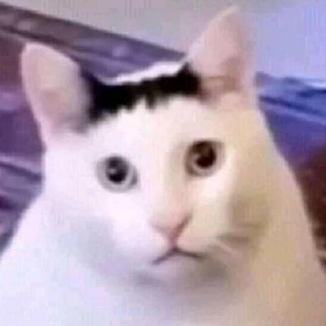 Maximusyudha Maximus Yudha Github - Ultra HD Landscape Illustrations for Desktop