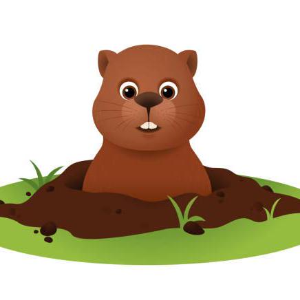 Eddiedumi Eduard Gabriel Dumitrescu Github - Best Dark Wallpapers in 8K